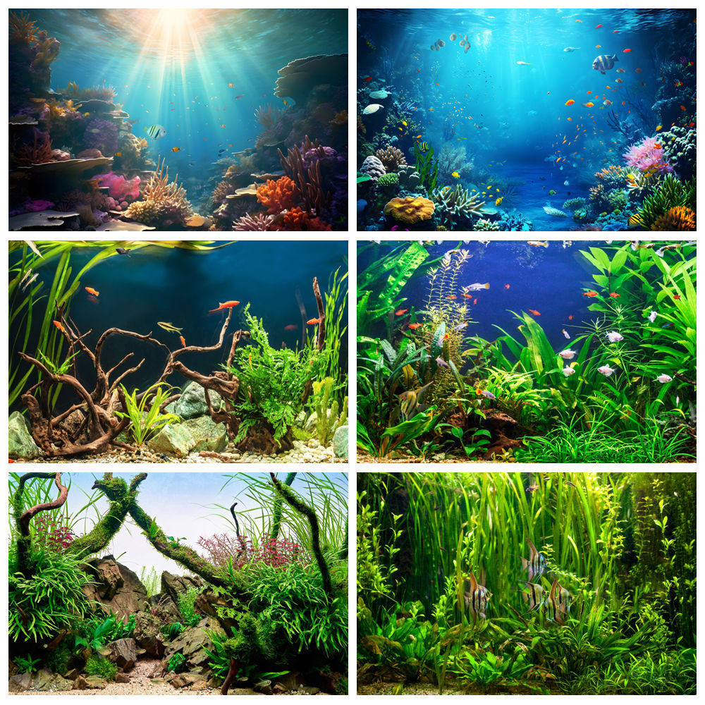 Aquarium Marine World - Fondo de fotografía del mundo del