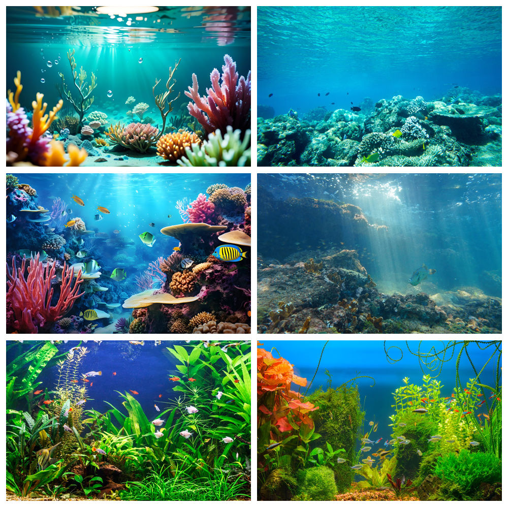 Aquarium Marine World - Fondo de fotografía de fondo marino