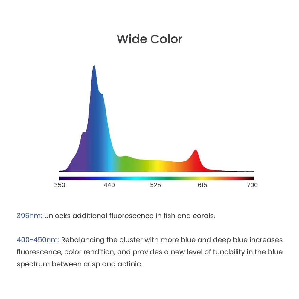 A8SE/A8PRO 2,0 generación 240W - Marine Aquarium App reseña y precio