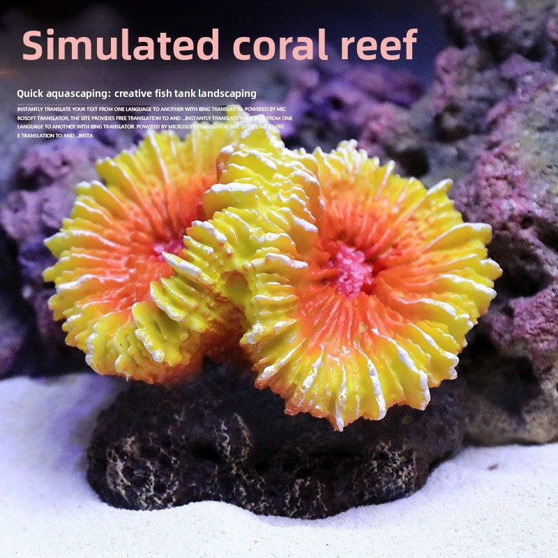 Decoraciones de Arrecife de Co - Aquarium Marine Rock reseña y precio