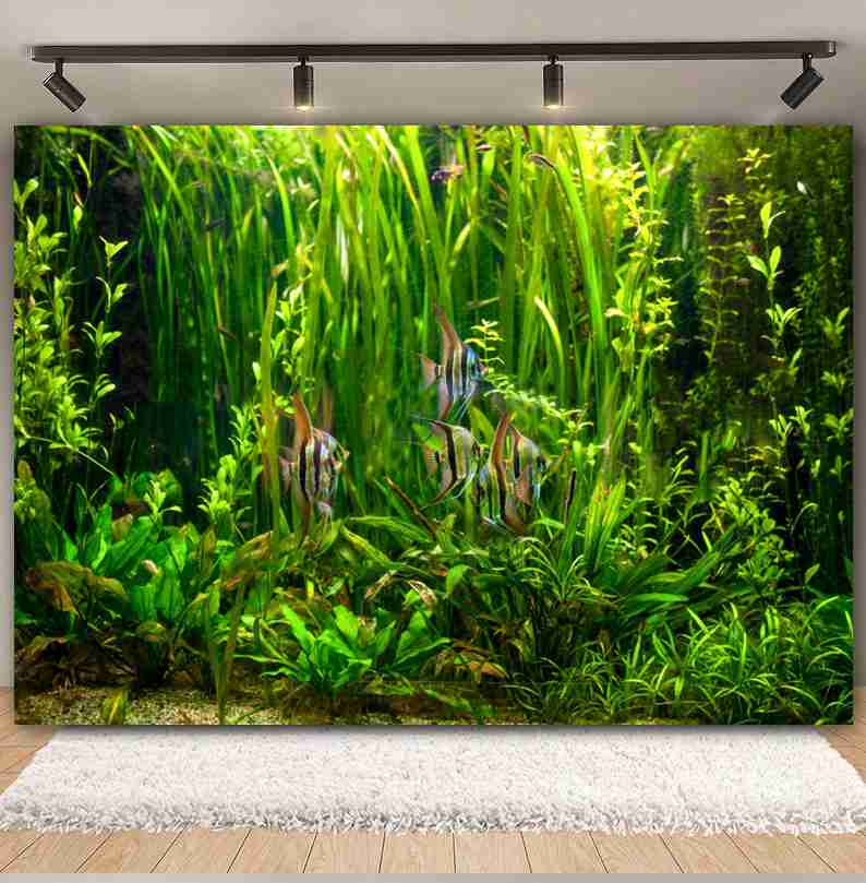 Fondo de fotografía del mundo  - Aquarium Marine World reseña y precio