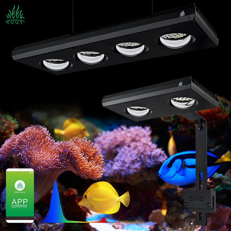 ZXY gran oferta WEEKAQUA Z250  - Marine Aquarium App reseña y precio