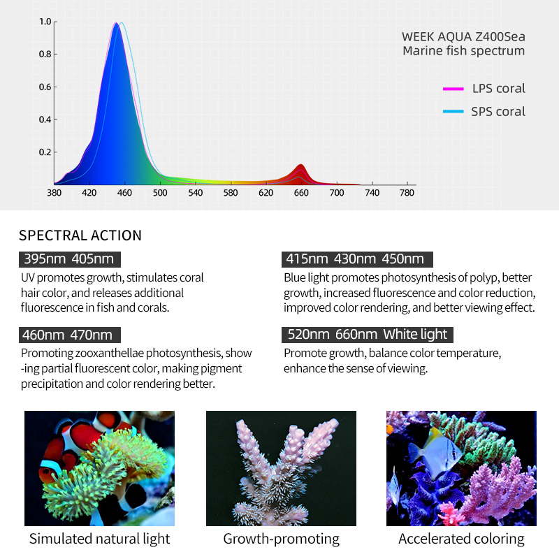 ZXY gran oferta WEEKAQUA Z250  - Marine Aquarium App reseña y precio