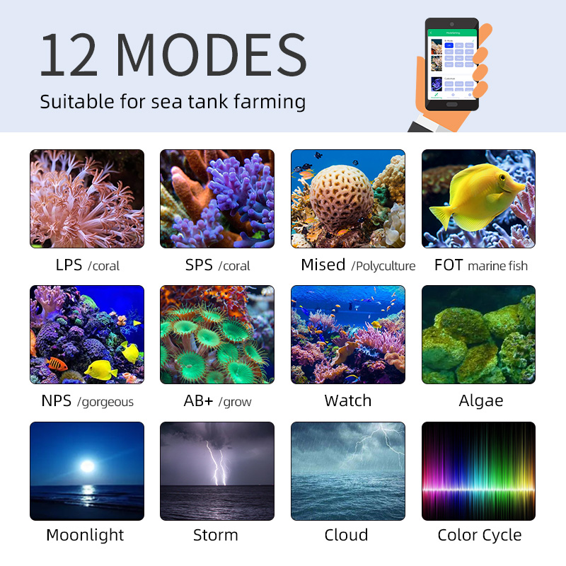 ZXY gran oferta WEEKAQUA Z250  - Marine Aquarium App reseña y precio