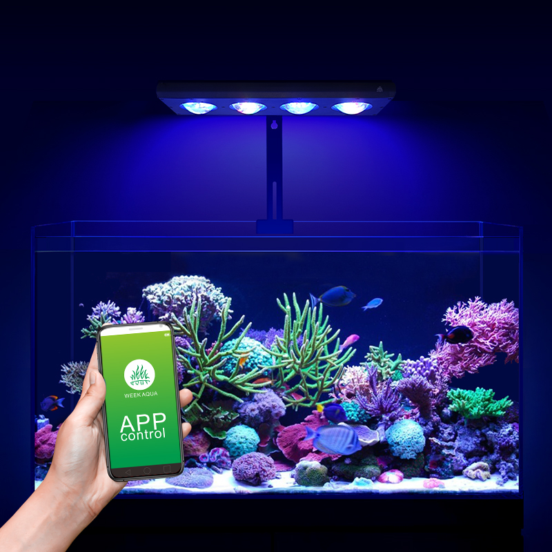 ZXY gran oferta WEEKAQUA Z250  - Marine Aquarium App reseña y precio