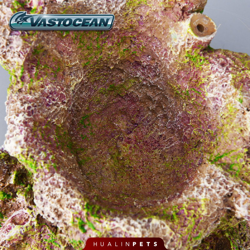 Vastocean Cueva de anémona art - Aquarium Marine Rock reseña y precio