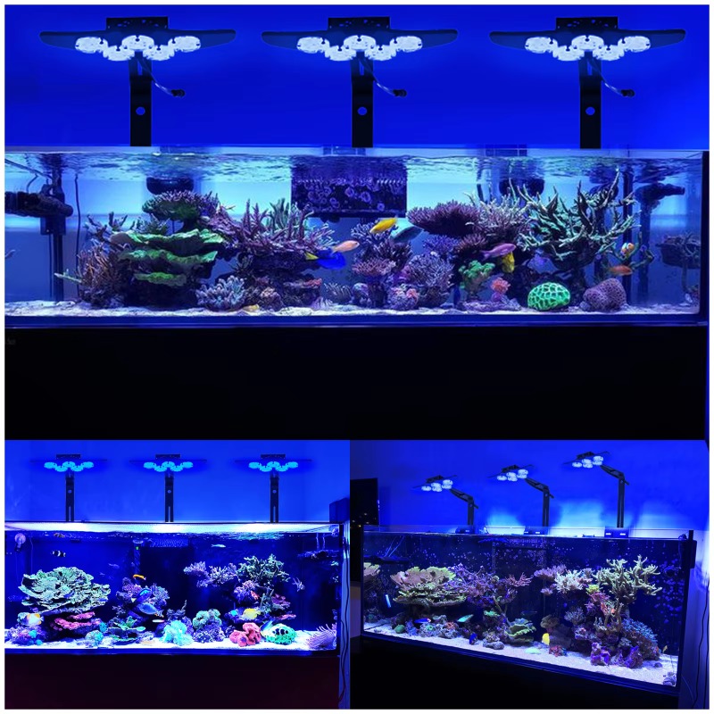 Lámpara LED de Alta Luminosida - Marine Aquarium App reseña y precio