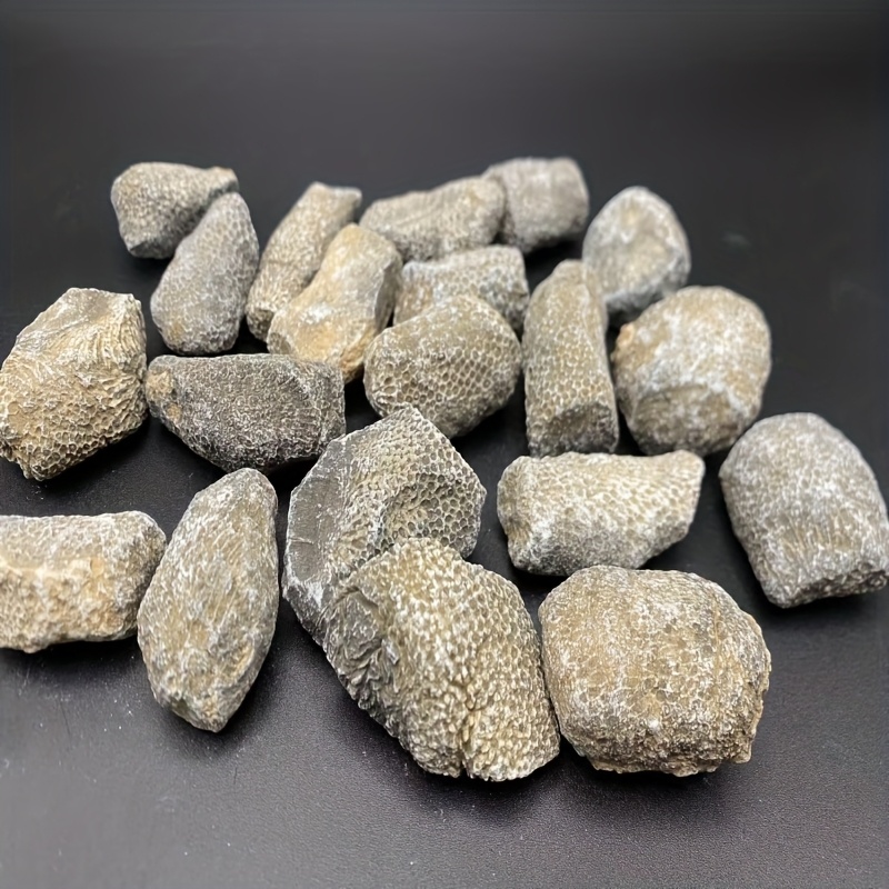 Roca de Coral Natural, Apta pa - Aquarium Marine Rock reseña y precio